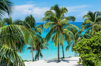 Karibik Kracher: 9 Tage Kuba im All Inclusive Hotel mit Flug & Transfer für 685€