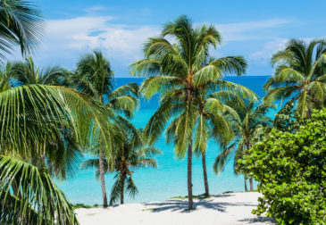Last Minute nach Kuba: 9 Tage Varadero ins moderne 5* Strandresort mit All Inclusive & F...