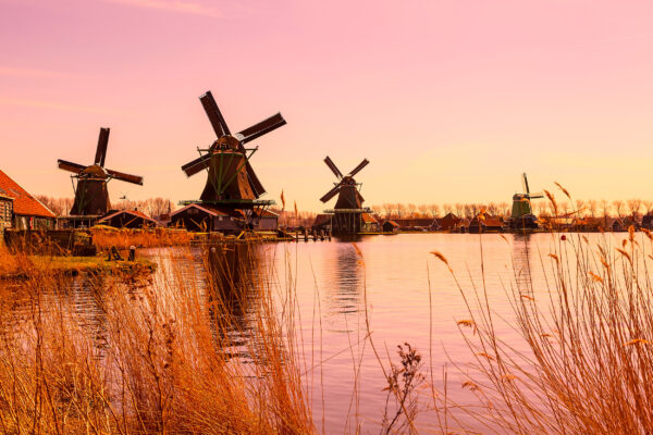 Niederlande Holland Tipps Pinke Windmühlen