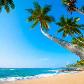 Abenteuer Sri Lanka: 14 Tage mit Unterkunft, Flug & Gepäck nur 481€ Abenteuer Sri Lanka: 14 Tage mit Unterkunft, Flug & Gepäck nur 481€