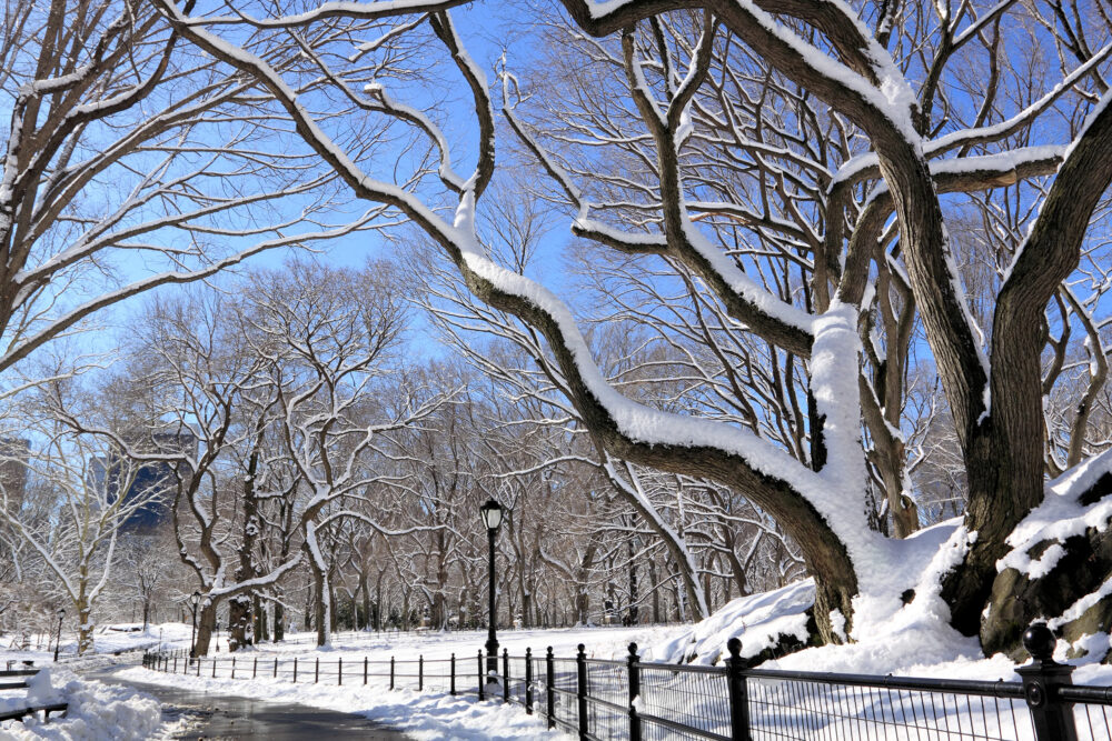 USA New York Central Park Schnee