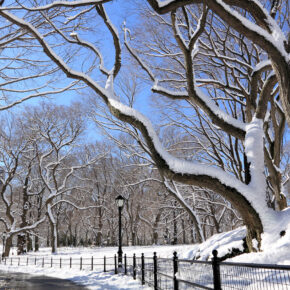 Ab nach New York City: 8 Tage im zentralen Hotel mit Flug ab 658€
