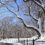 Ab nach New York City: 8 Tage im zentralen Hotel mit Flug ab 658€