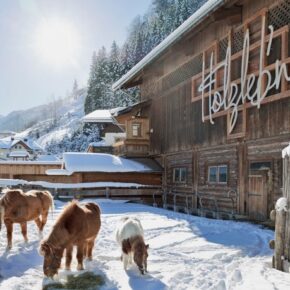 Feriendorf in den Alpen: 3 Tage im eigenen Chalet mit Wellness, Frühstück & Extras nur 172€ Feriendorf in den Alpen: 3 Tage im eigenen Chalet mit Wellness, Frühstück & Extras nur 172€