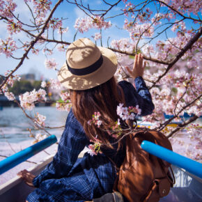 Kirschblüte in Japan: Die schönsten Orte & Feste Kirschblüte in Japan: Die schönsten Orte & Feste