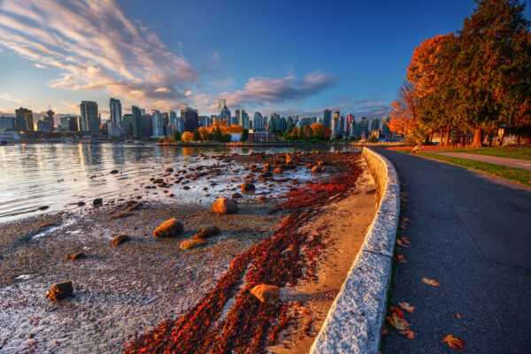 Kanada Vancouver Herbst