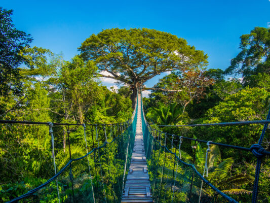 Peru Amazonas Brücke