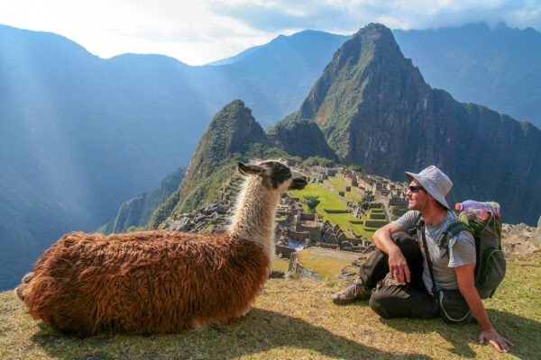 Peru Machu Picchu Lama