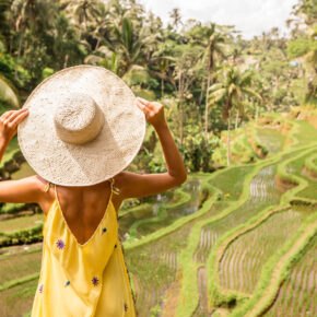 Bali Reisterrassen Frau