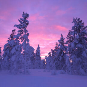 Auf in Finnlands Norden: 5 Tage Lappland im sehr guten Hotel mit Flug ab 244€