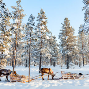 Trip nach Finnland: Direktflüge für nur 4€