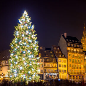 Weihnachtszauber auf dem Rhein: 4-tägige Kreuzfahrt ins Elsass & den...