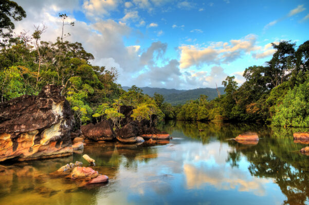 Madagaskar Masoala Nationalpark