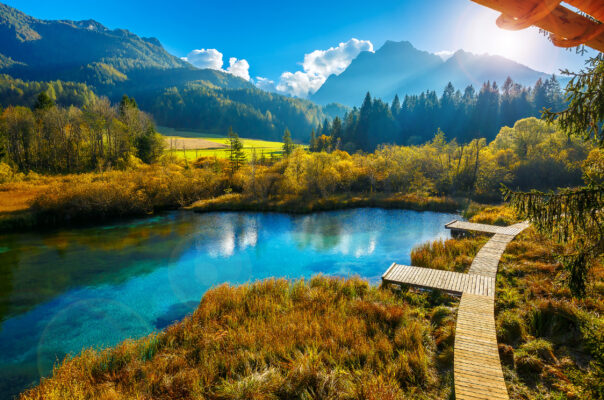 Slowenien Zelenci Herbst