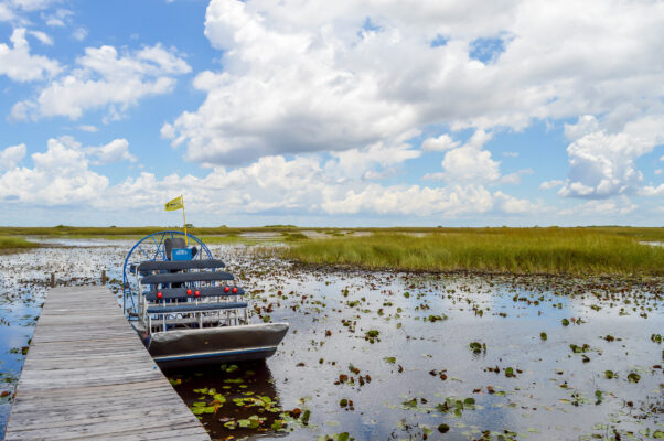 USA Everglades Nationalpark