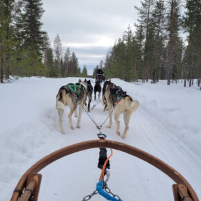 Winterzauber in Lappland: 5 Tage inkl. Unterkunft, Frühstück, Flug & Husky-Safari