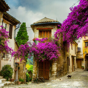 Frankreich Provence Altstadt Flieder