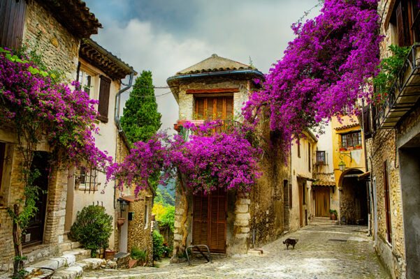 Frankreich Provence Altstadt Flieder