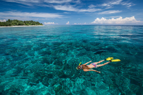 Gili Trawangan Schnorcheln