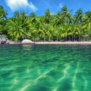Insel Traumstrand gruen