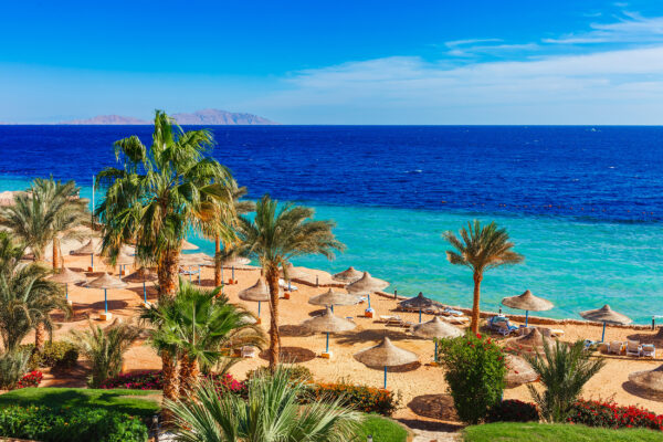 Aegypten Sharm el Sheik Strand Palmen