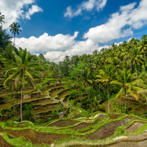 Traumreise Bali: 10 Tage auf der indonesischen Insel mit 4* Hotel & Flug für 480€ // 13 Tage für 520€ Traumreise Bali: 10 Tage auf der indonesischen Insel mit 4* Hotel & Flug für 480€ // 13 Tage für 520€