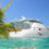 Transatlantik Kreuzfahrt: 17 Tage mit der MSC Armonia von Rom nach Rio de Janeiro ab 899€