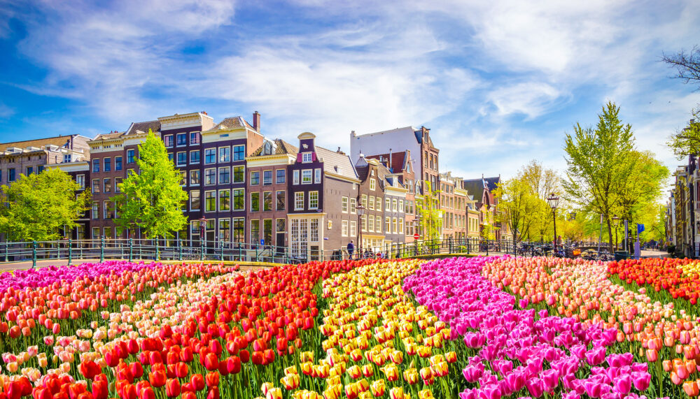 Niederlande Amsterdam Blumen bunt