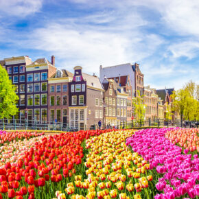 Niederlande Amsterdam Blumen bunt