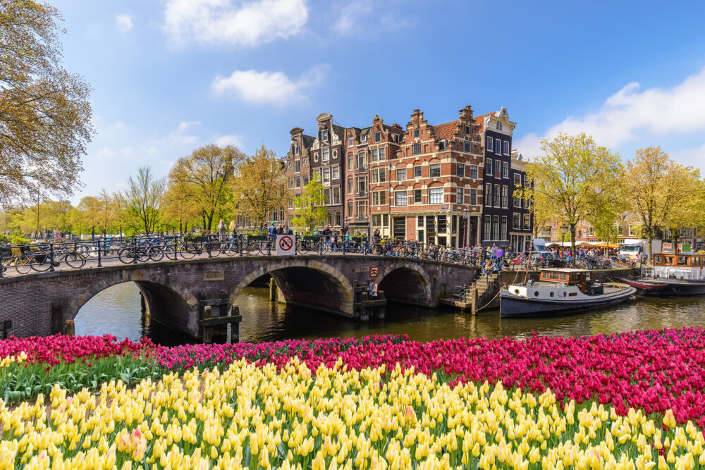 Niederlande Amsterdam Bruecke Blumen