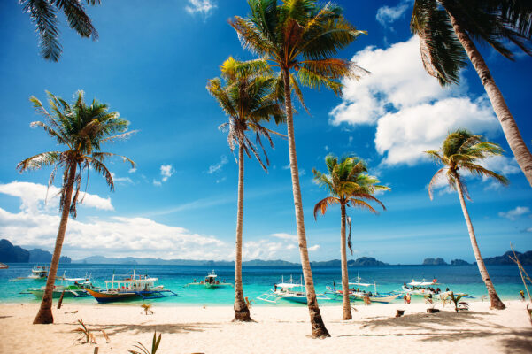 Palawan Tipps: Strand Palmen