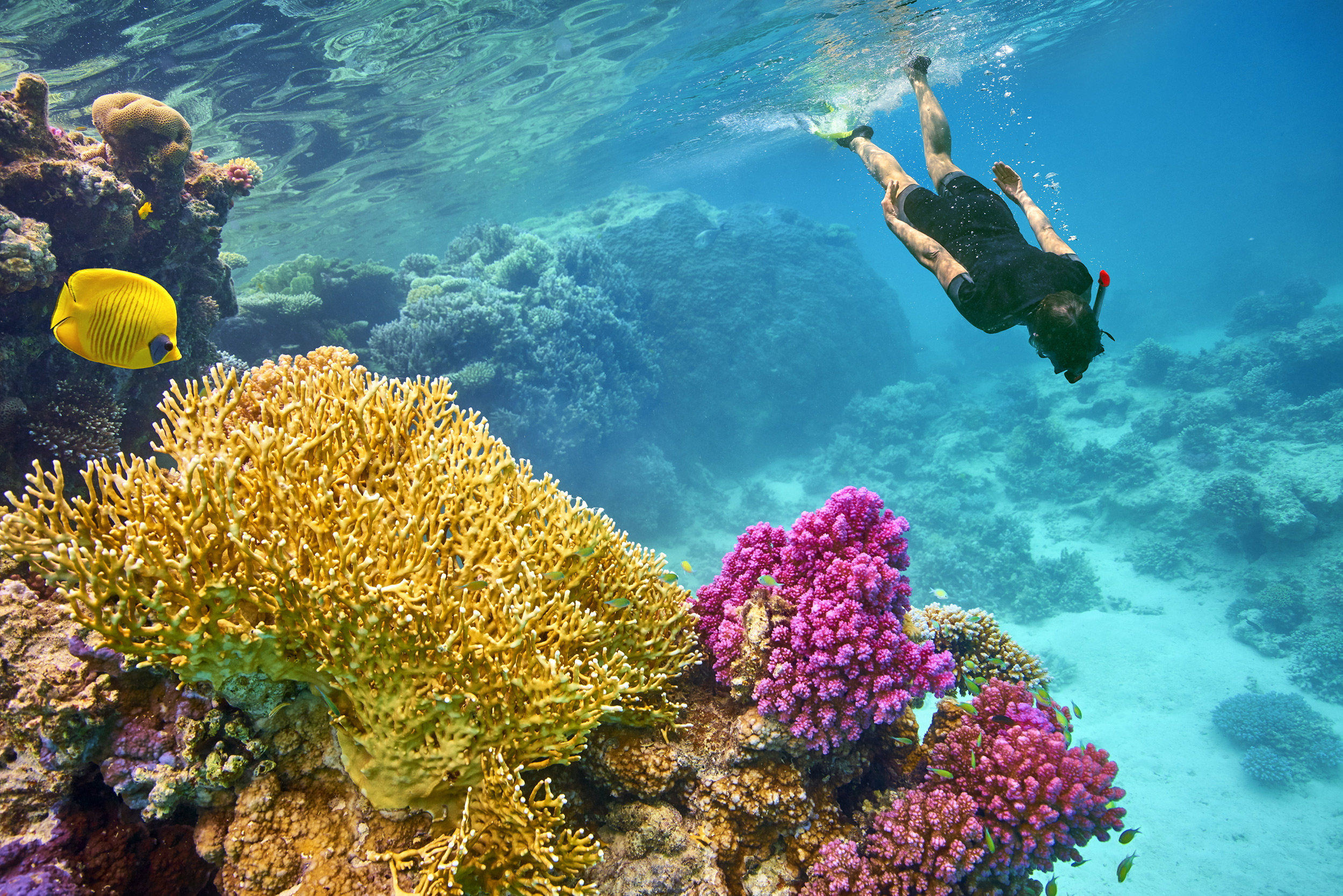 Tauchen Sie ein in das paradiesische Marsa Alam mit TUI Urlaub - Entspannung und Wellness in Marsa Alam