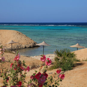 Sonne tanken: 6 Tage Ägypten im TOP 4* Strandresort mit All Inclusive, Flug & Transfer NUR 347€