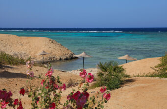 Sonne tanken: 6 Tage Ägypten im TOP 4* Strandresort mit All Inclusive, Flug & Transfer N...