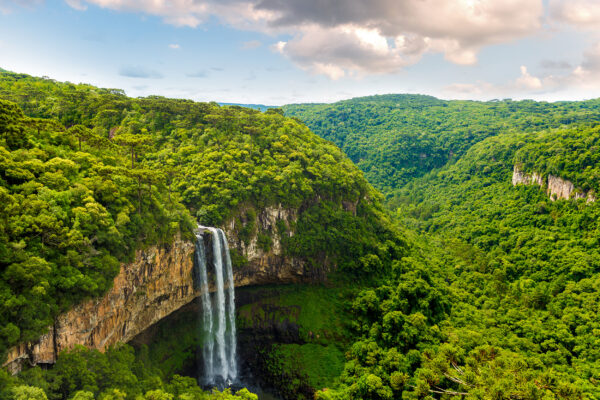 Brasilien Amazonas