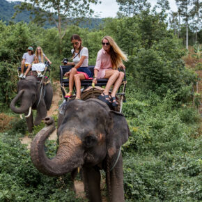 Elefanten reiten Jugendliche