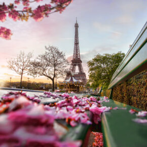 Frankreich Paris Frühling Blüten