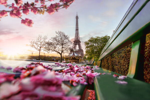 Frankreich Paris Frühling Blüten