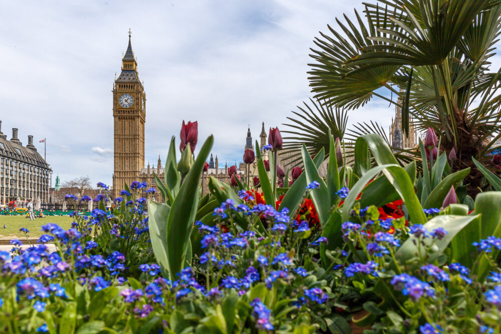 Großbritannien London Frühling Blumen