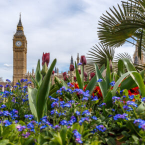 Gratis in London: Diese Sehenswürdigkeiten & Aktivitäten sind kostenlos