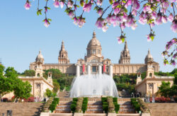 Westliches-Mittelmeer-Kreuzfahrt: 7 Tage mit der MSC Sinfonia inkl. Vollpension ab Barcelona ...
