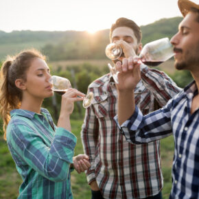 Weinregionen in Frankreich: Die besten Weinanbaugebiete, Sehenswürdigkeiten & Aktivitäten