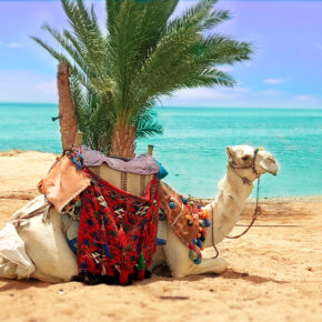 Ägypten-Kracher: 8 Tage im TOP 5* Hotel mit All Inclusive, Flug & Transfer nur 468€