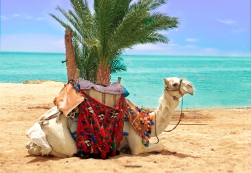 Ägypten Strandurlaub: 8 Tage im 4* Hotel mit All Inclusive & Flug ab 299€