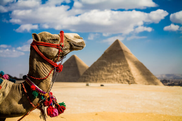 Ägypten Pyramiden Kamel