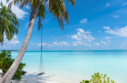 Traumreiseziel Malediven: 10 Tage im TOP 5* Hotel mit All Inclusive, Flug, Transfer mit dem S...