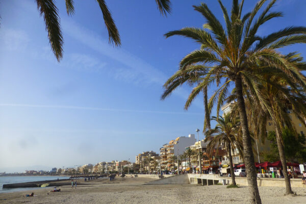 Mallorca El Arenal Palme