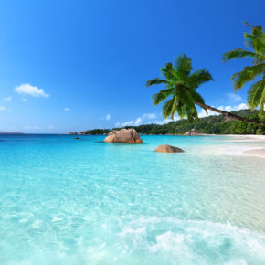 Traumurlaub: 15 Tage auf den Seychellen in toller Unterkunft mit Direktflug nur 828€ Traumurlaub: 15 Tage auf den Seychellen in toller Unterkunft mit Direktflug nur 828€