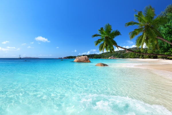 Seychellen Strand Palmen