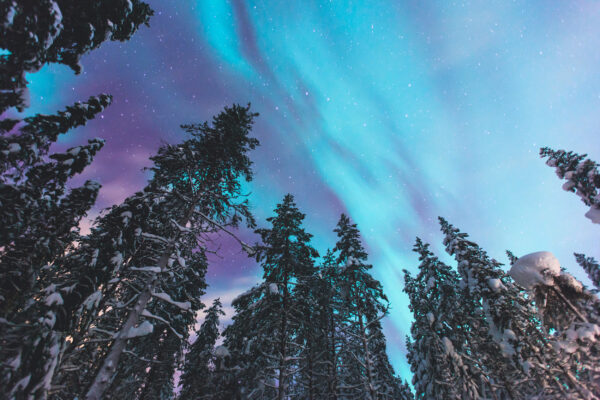 Skandinavien Norwegen Polarlichter Himmel